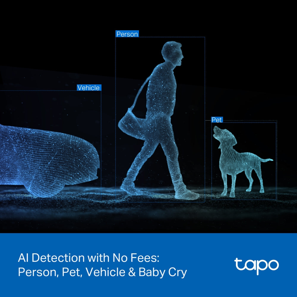 Tapo C246D