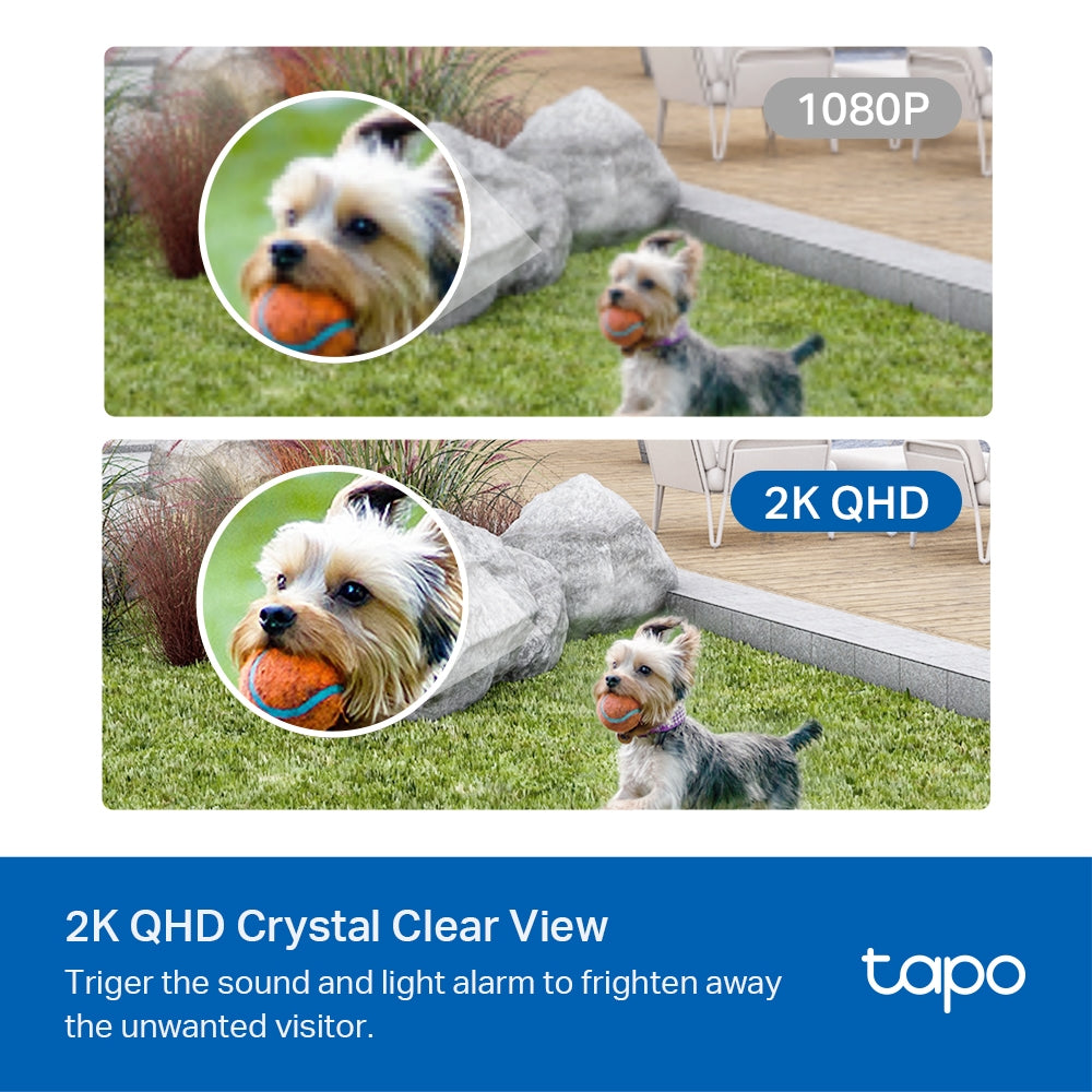 Tapo C420