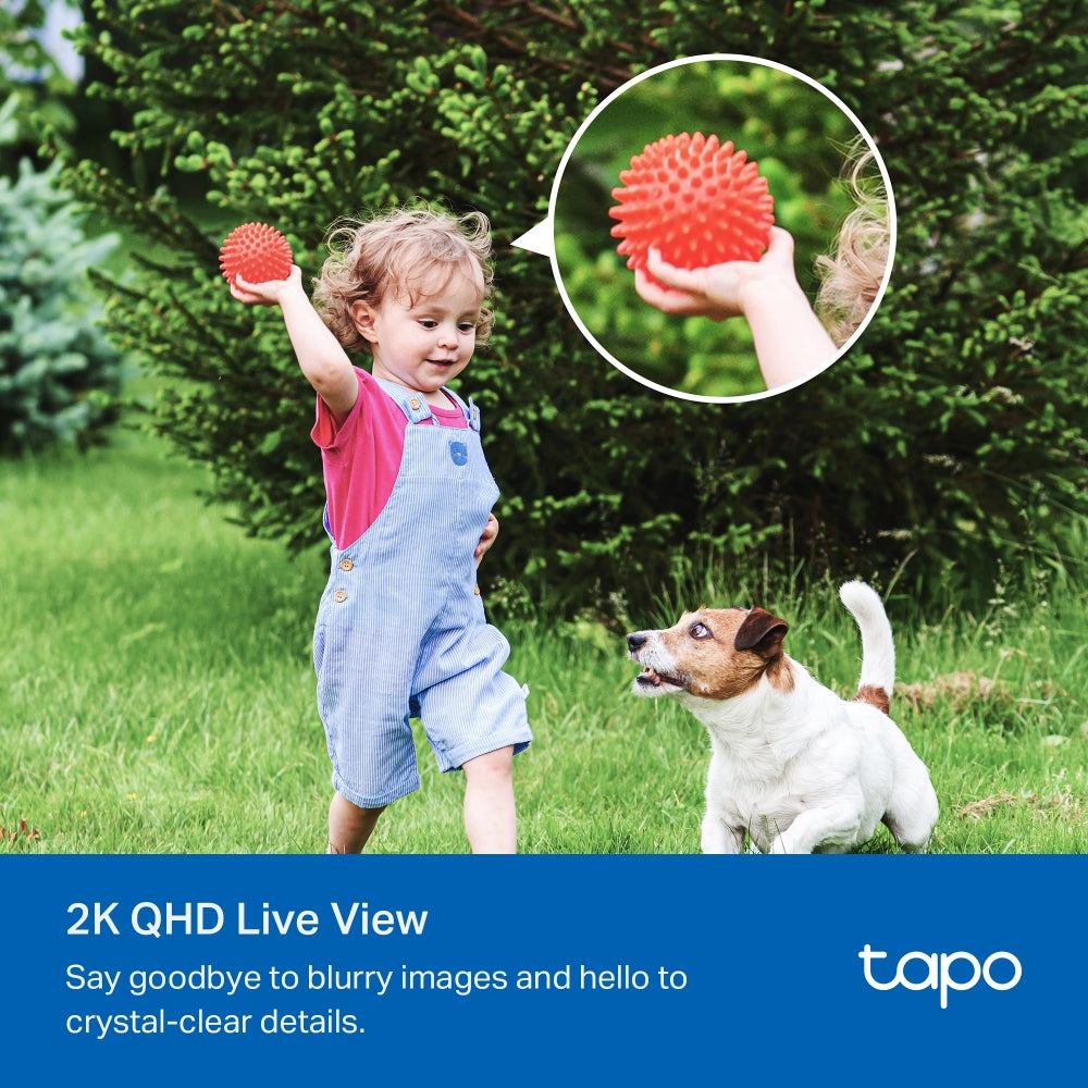 Tapo C425 KIT(2-Pack)
