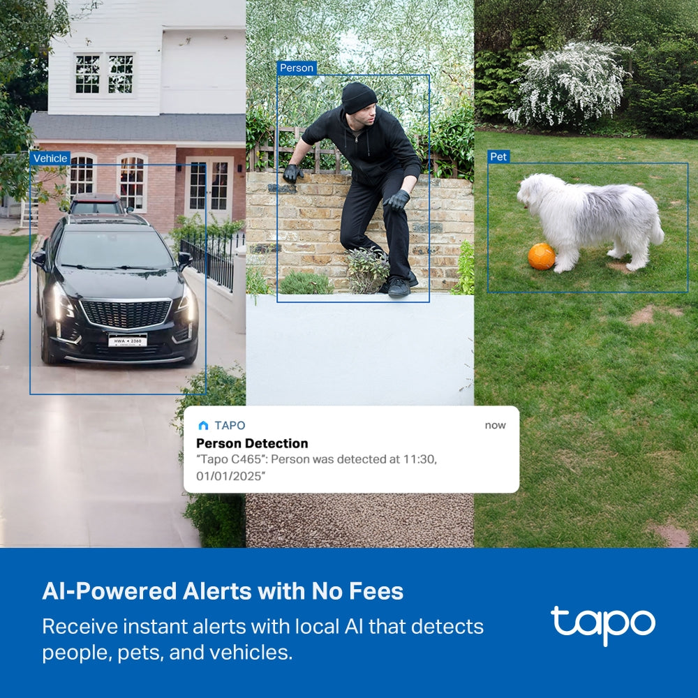 Tapo C465