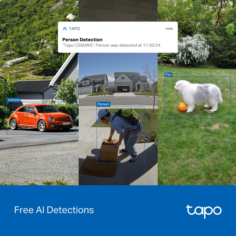 Tapo C560WS