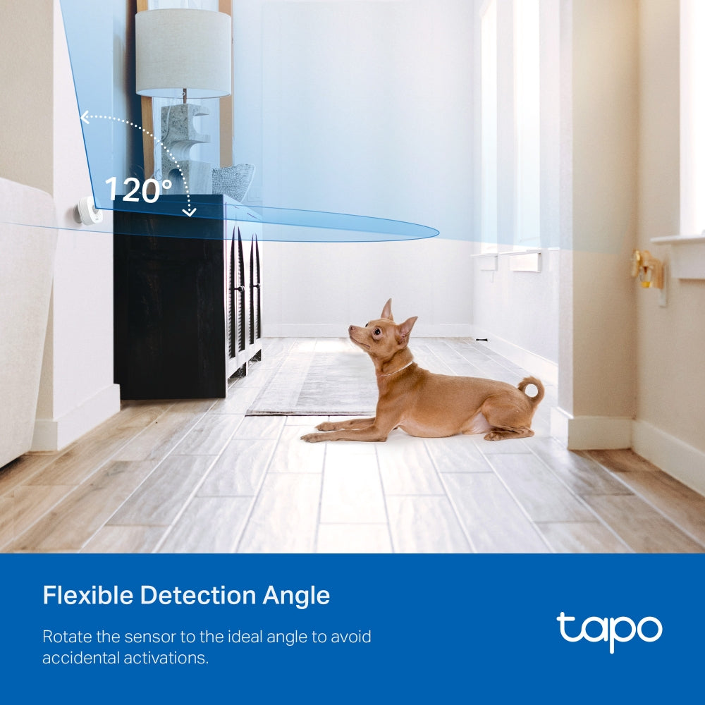Tapo T100